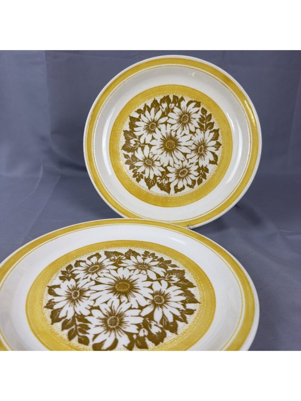 2 70s Retro Jamestown Ironstone Stoneware Yellow Floral Daisy Dinner Plates